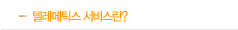 텔레메틱스서비스란?